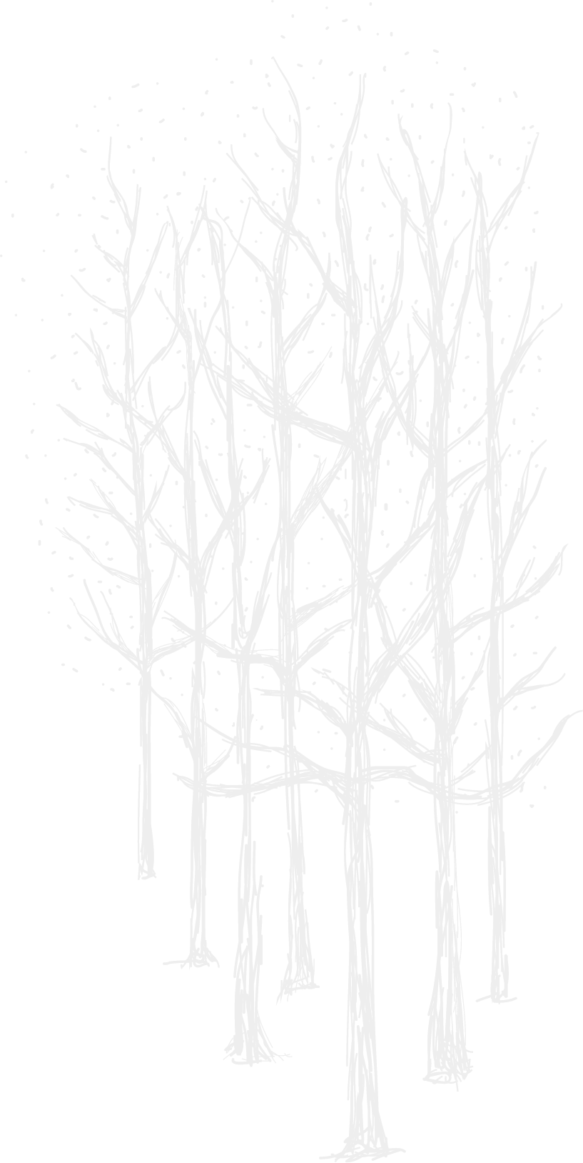 ファーストビューの木